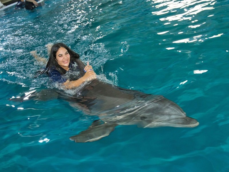 MAJESTIC SWIM Dolphin Kayak or Paddle Tickets