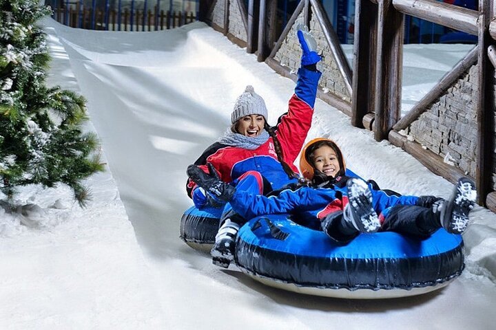 Ski Dubai Snow Plus Pass + Dubai Dolphinarium Dolphin & Seal Show Tickets