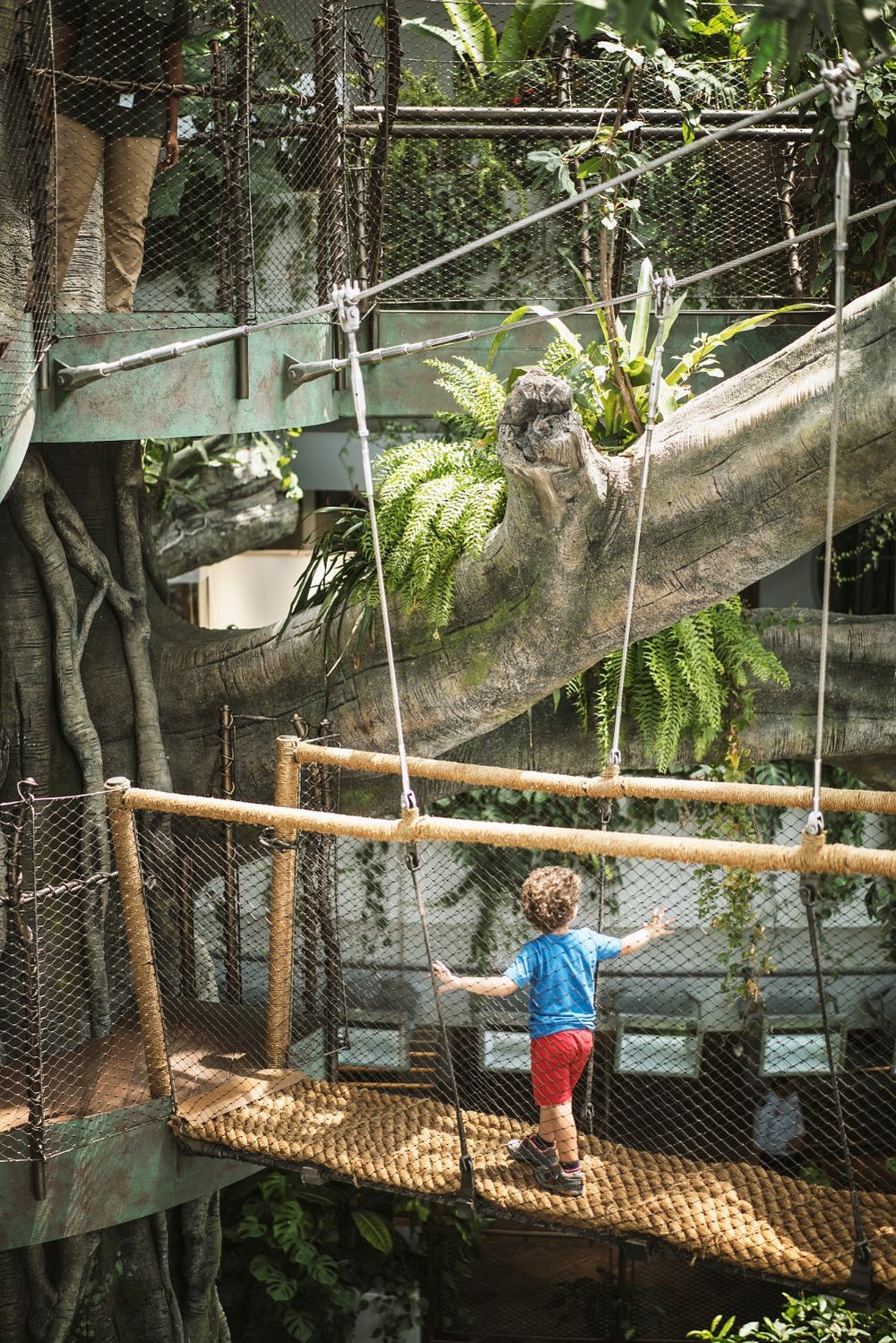 Green Planet Dubai Tickets