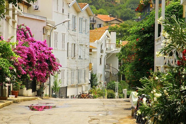 Istanbul to Princes’ Islands Round-Trip Ferry Tickets