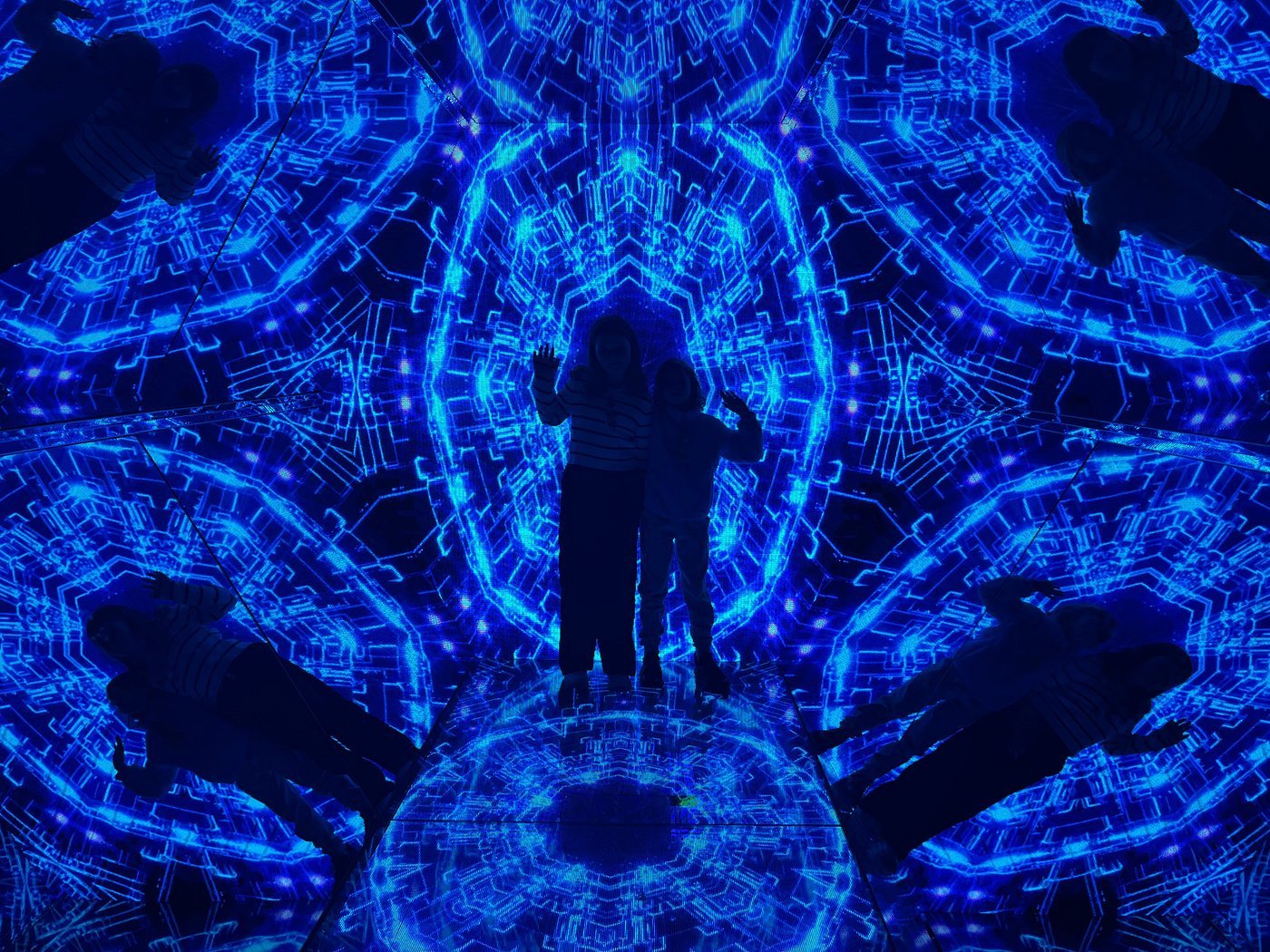 Paradox Museum Entry Tickets