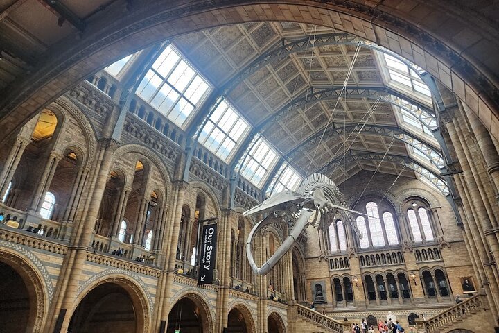 Natural History Museum Reserved Entry Ticket & Audio Tour