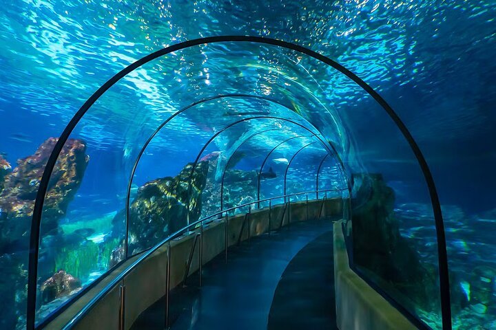 Barcelona Aquarium Skip-the-Line Tickets
