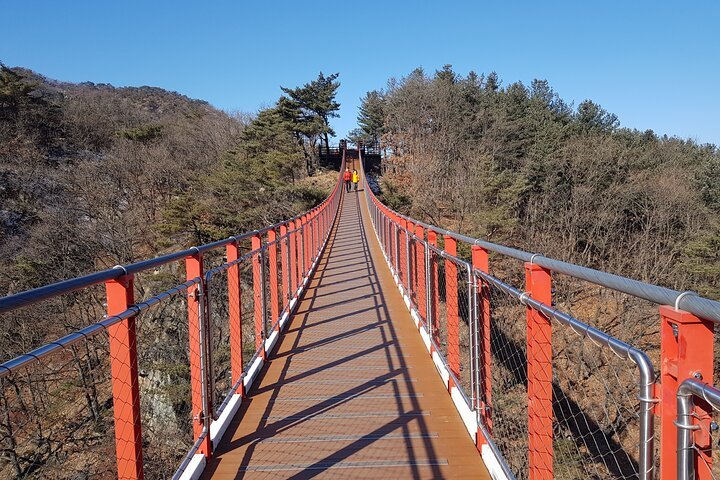 DMZ Full-Day Tour with Suspension Bridge Visit