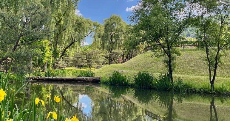 Nami Island Admission Ticket with Transfers