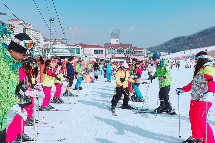 From Seoul: Full-Day Vivaldi Park Ski Tour