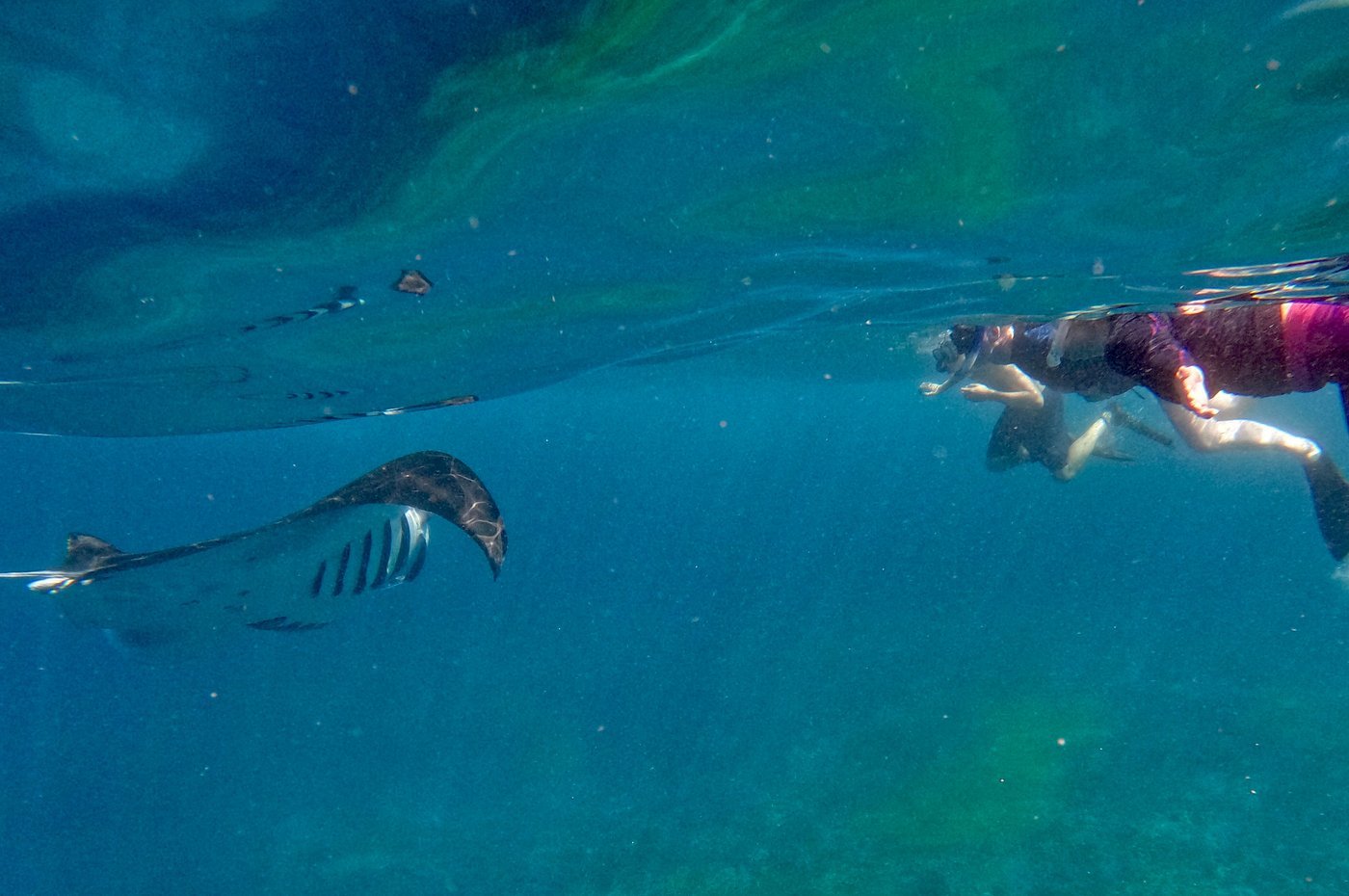 Nusa Penida All-Inclusive Tour from Bali with Manta Rays