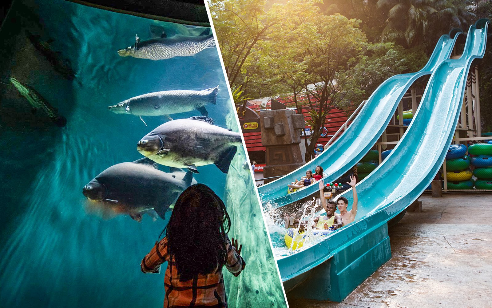 Combo (Save 12%): Aquaria KLCC + Sunway Lagoon Tickets Non-Malaysian Citizen