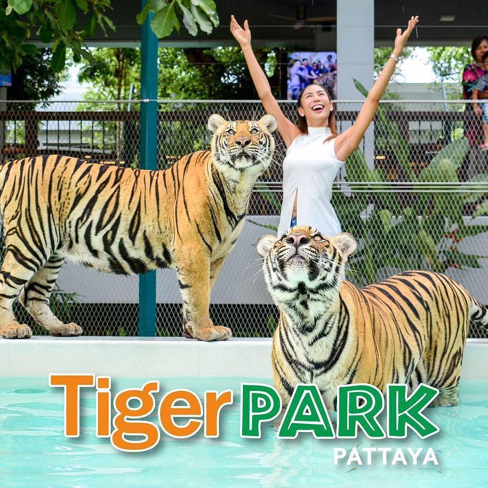 Tiger Park Pattaya