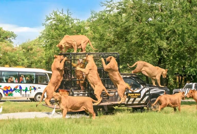 Safari World Tickets with Optional Indian/International Lunch