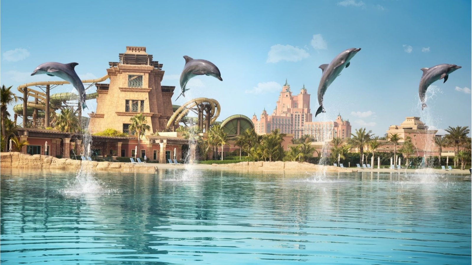 Atlantis Dolphin Meet & Greet