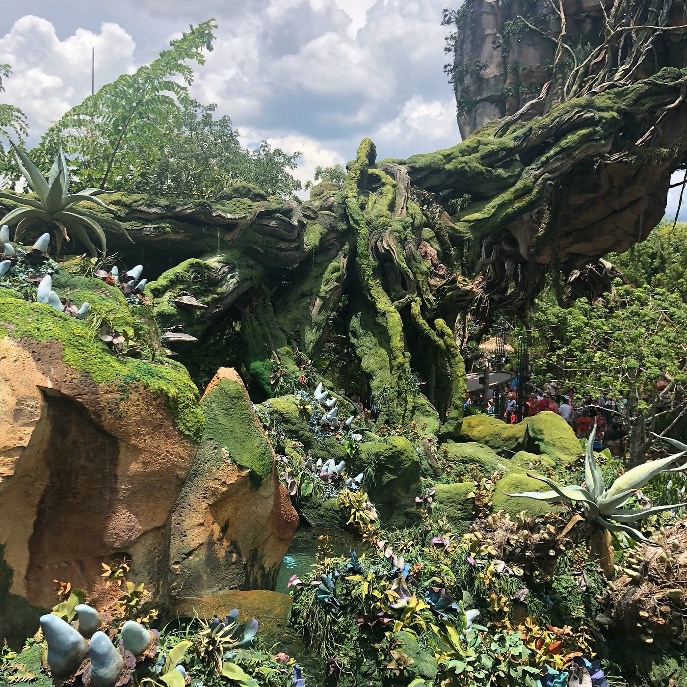 Pandora – The World of Avatar 1-Day Ticket
