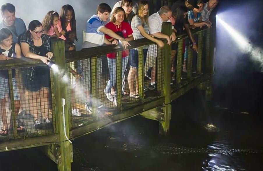Gatorland Nighttime Flashlight Tour