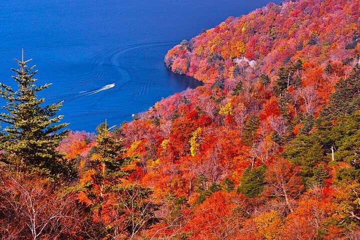 Nikko World Heritage Site Day Tour with Hotel Transfers: Tōshōgū Shrine, Kegon Falls, Lake Chūzenji, & More