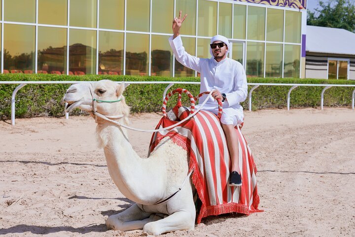 Dubai Royal Camel Race with camel rides